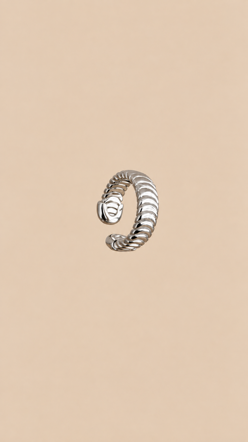 Anillo Loira