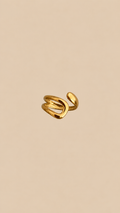 Anillo Sena