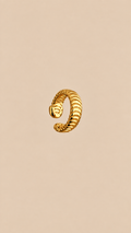 Anillo Loira