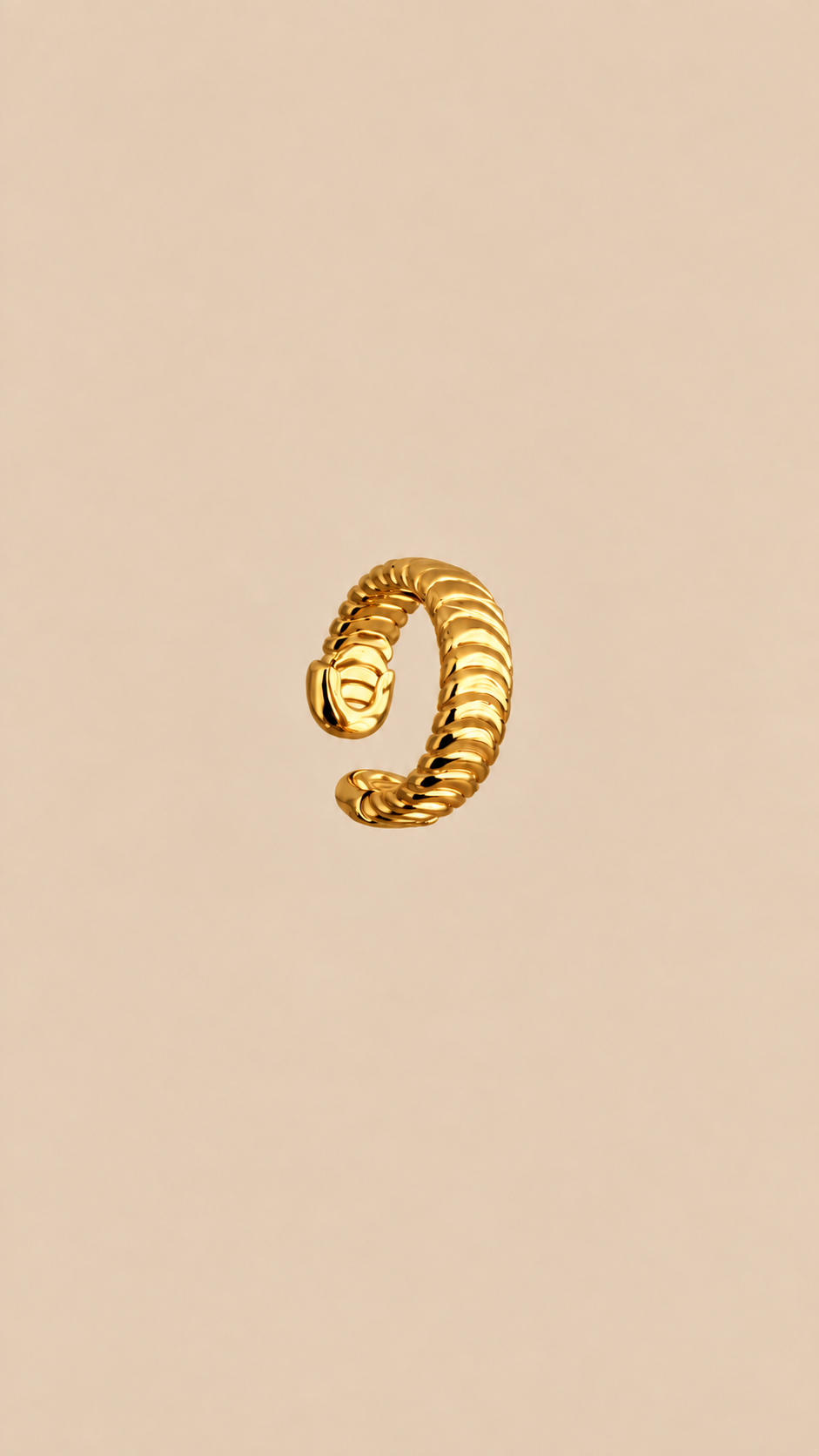 Anillo Loira